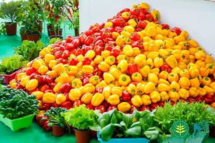 淮阳融媒助力农产销售 你家有农产品要卖吗？