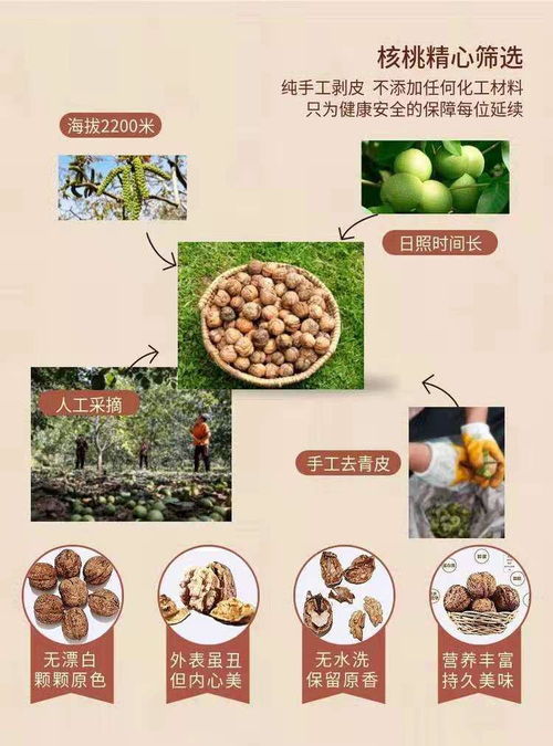 限时疯抢！网红琥珀核桃仅售19.9元，酥脆香甜引爆味蕾