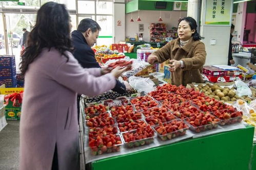 实体农贸市场为何在互联网买菜时代屹立不倒