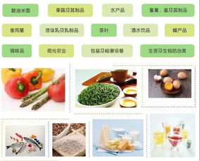 鼎白 绿色生活创领者，第十八届中国消博会上焕发日用百货新活力